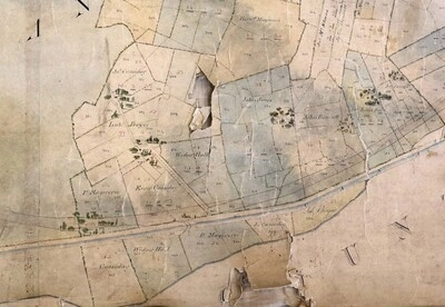 Maps of the Manor of Acton